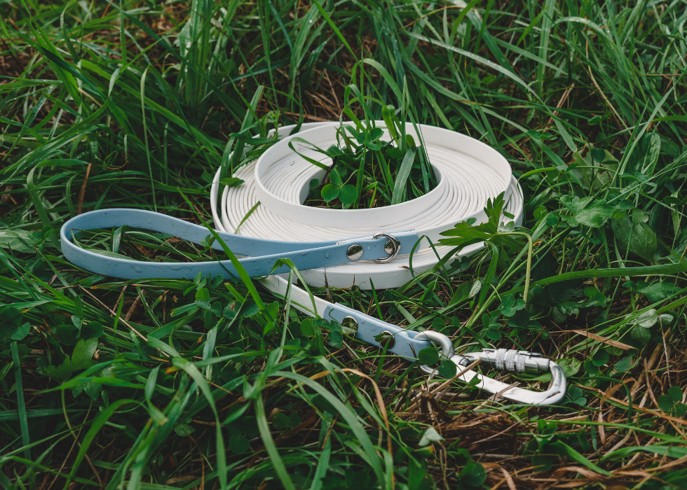 Field Leash (10 meters)