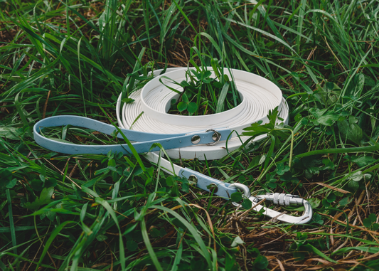 Field Leash | 10 meters