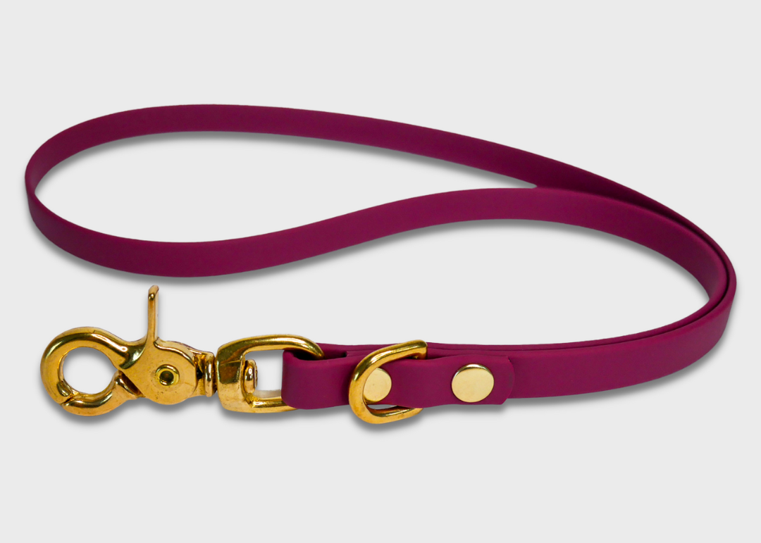 Lanyard