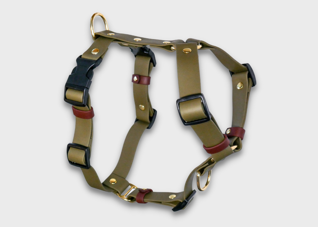 The Everydog Harness