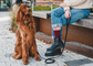 City Leash | 2 meters