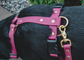 The Everydog Harness