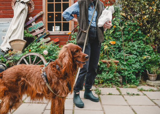 Multi Leash | 4-in-1