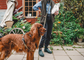 Multi Leash | 4-in-1