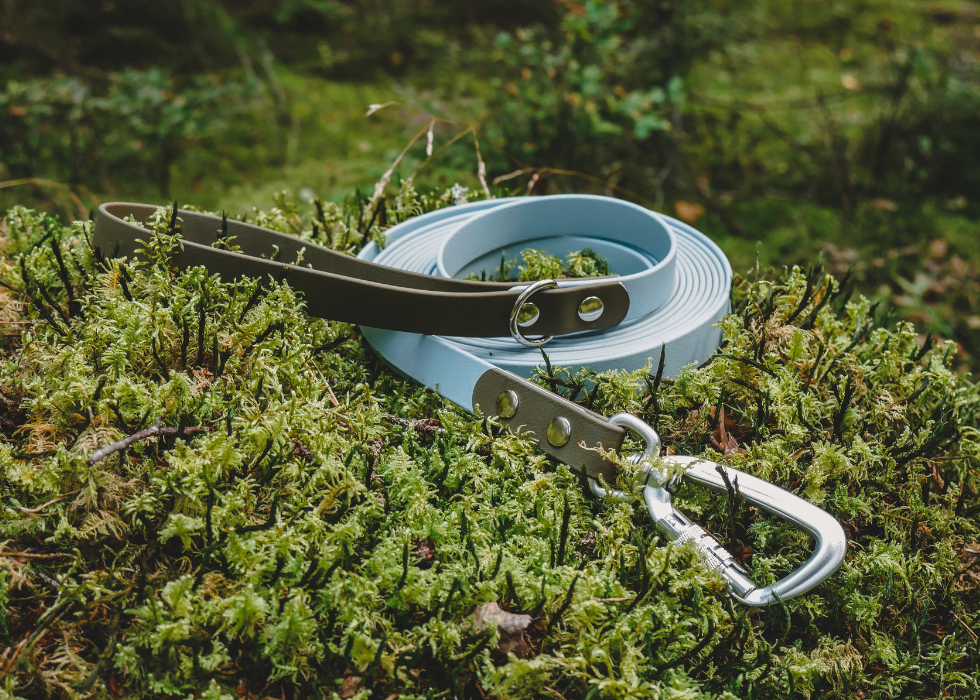 Trail Leash (5 meters)