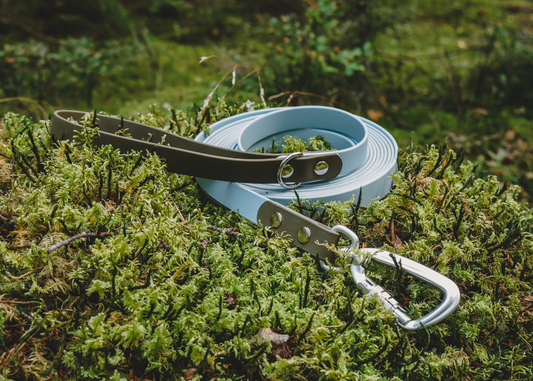 Trail Leash | 5 meters