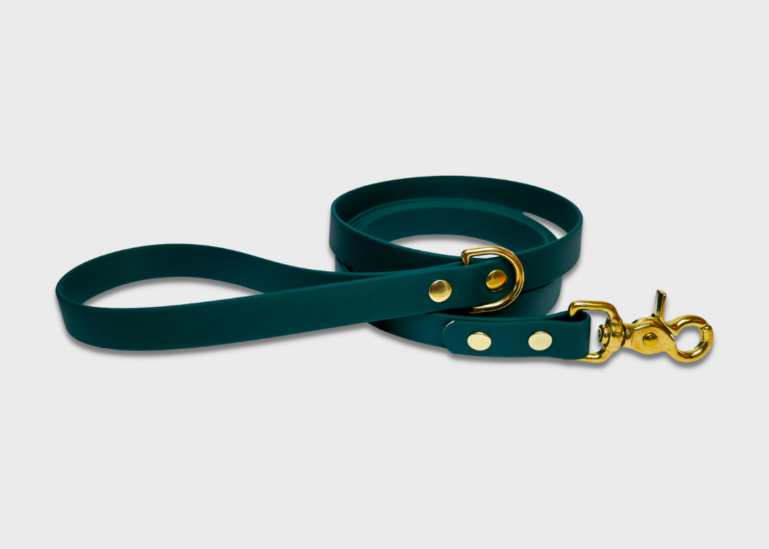 City Leash (2 meters)