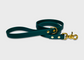 City Leash | 2 meters