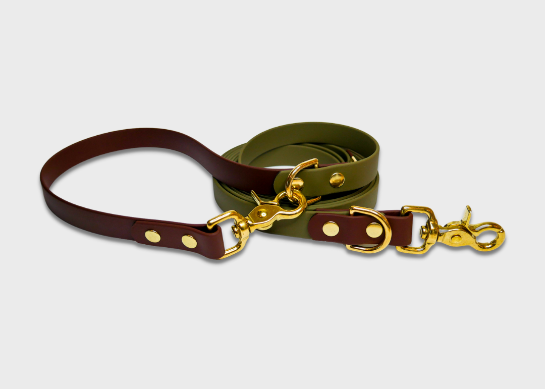 Multi Leash (4-in-1)